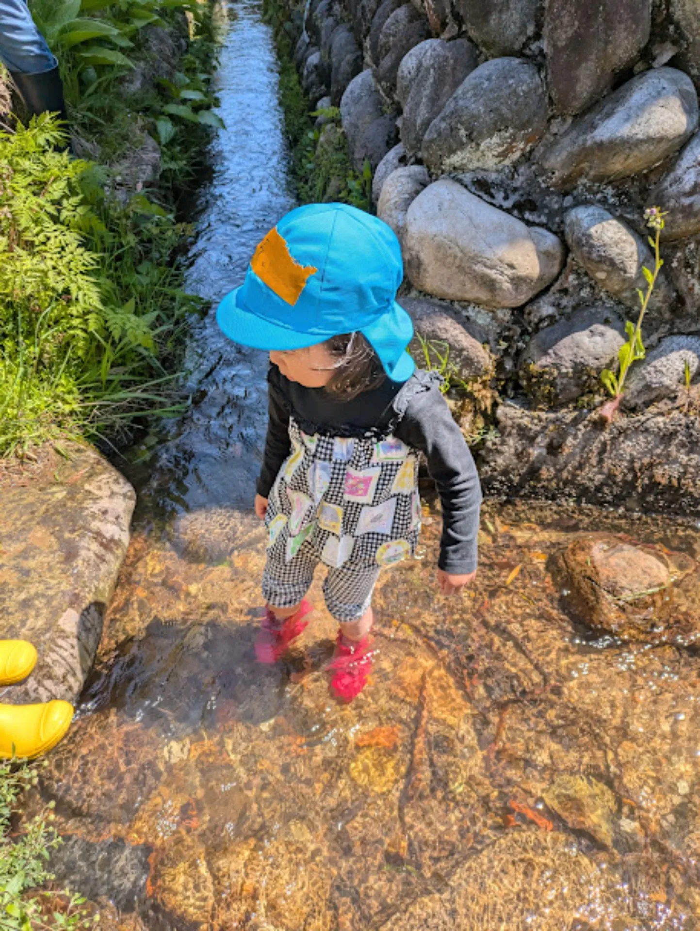 PXL_20250508_011833683~2