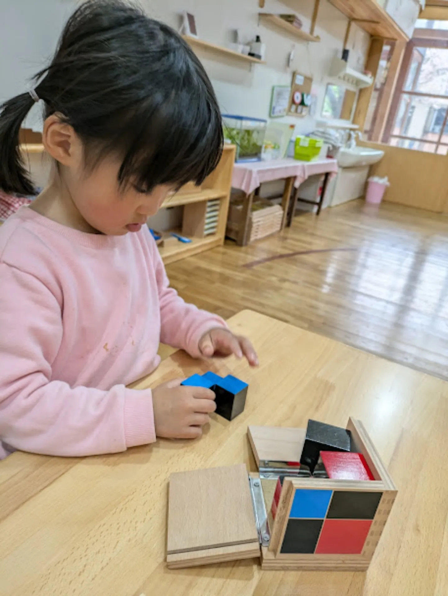 PXL_20250408_041427462