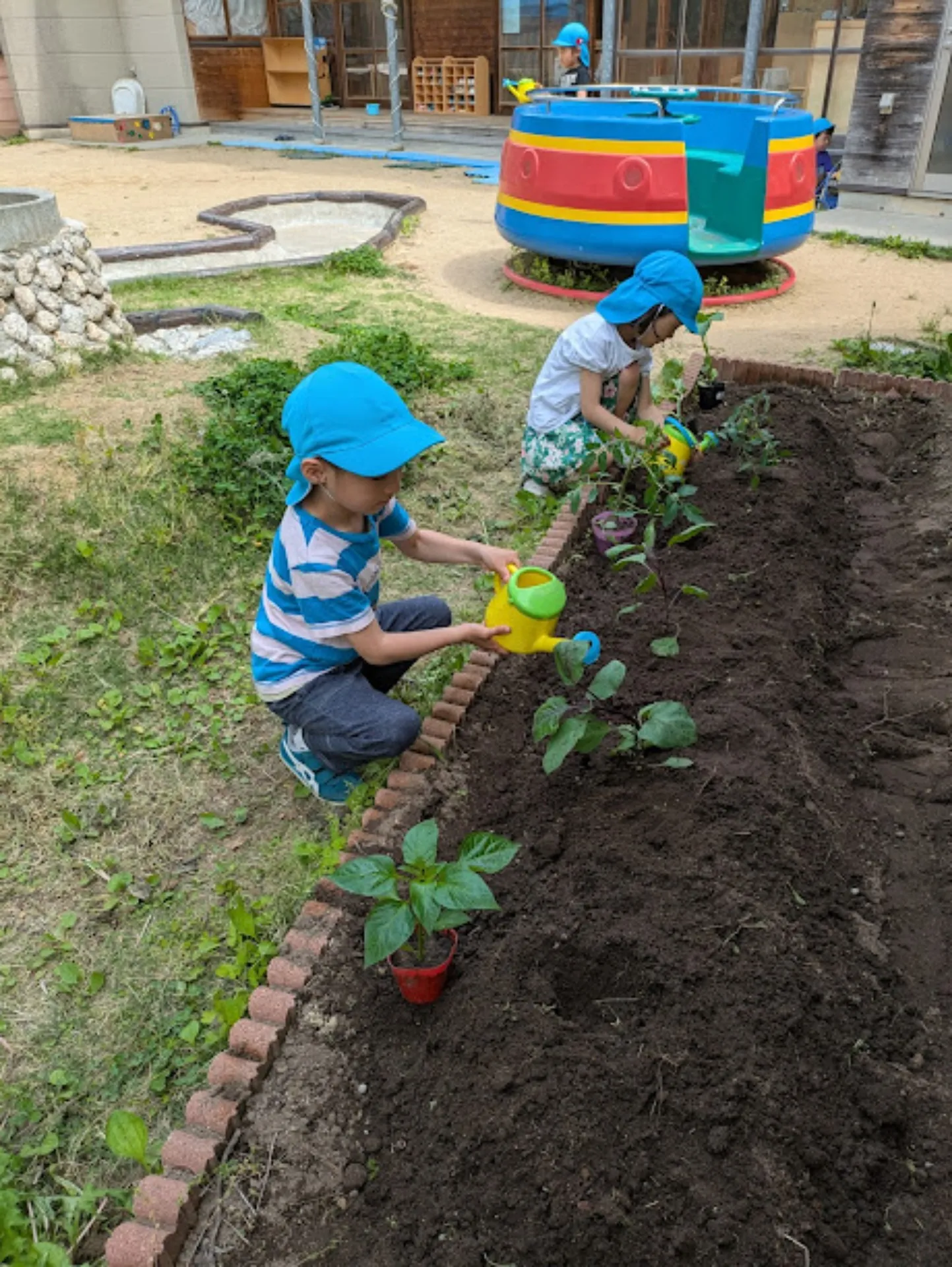 PXL_20250516_005307049