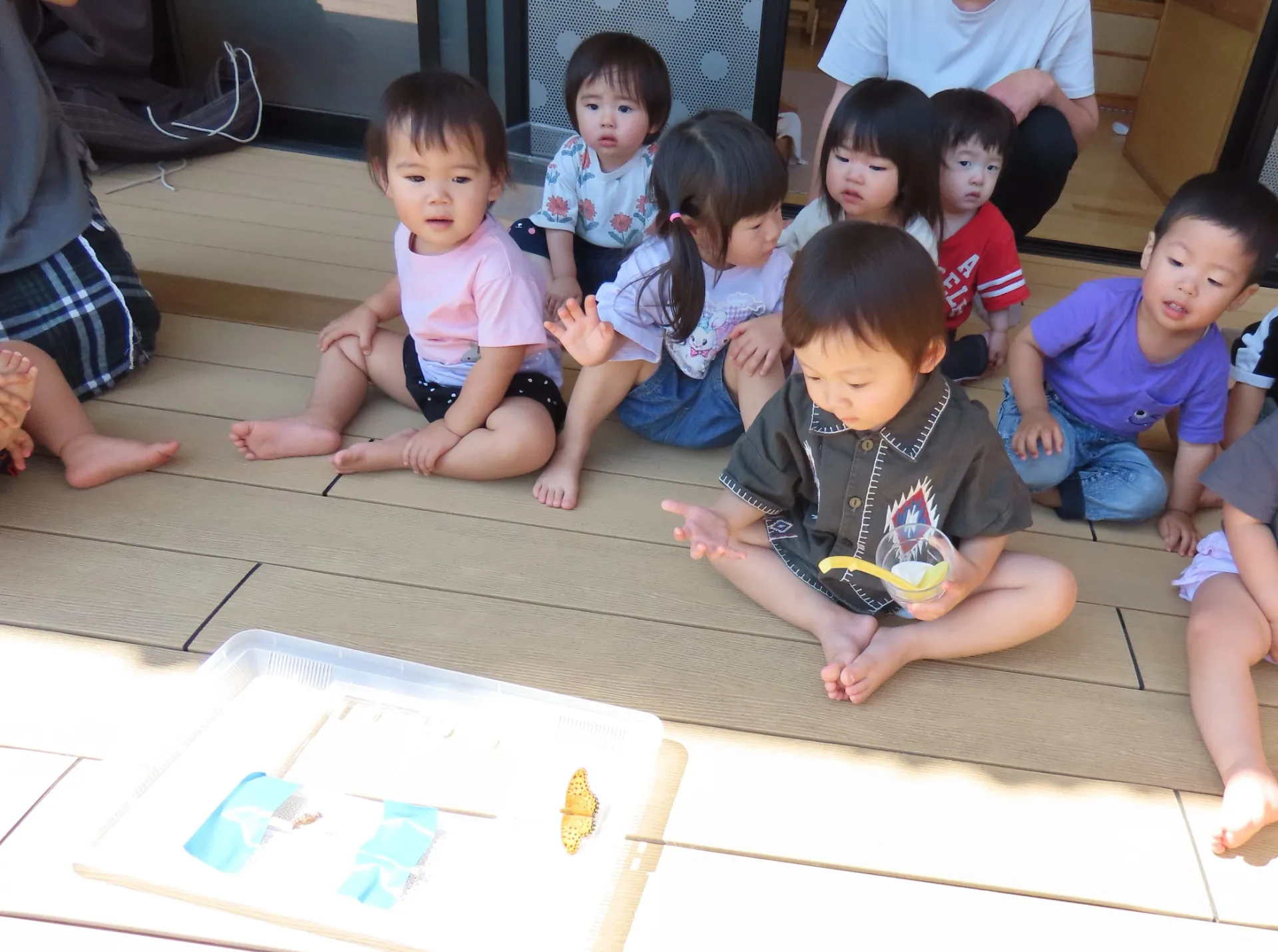 ひよこ2①