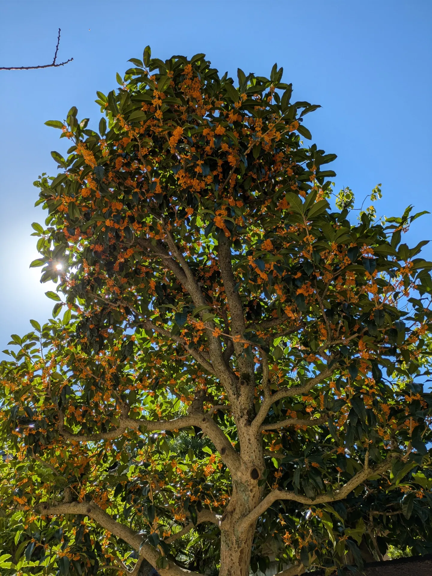 PXL_20251023_025254898