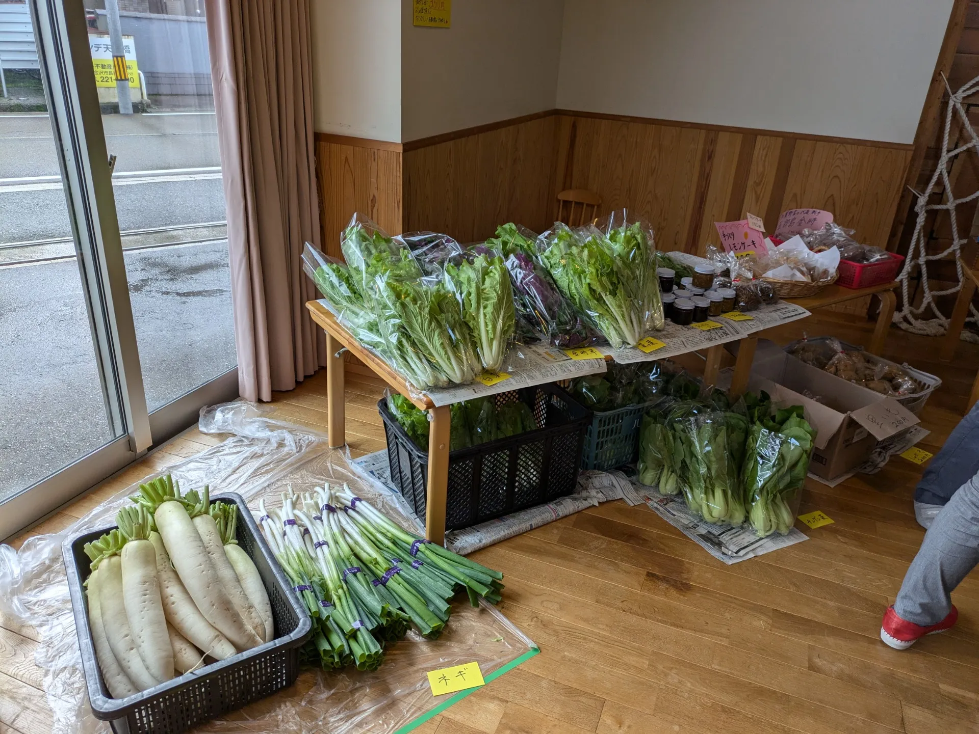 PXL_20251101_004245555