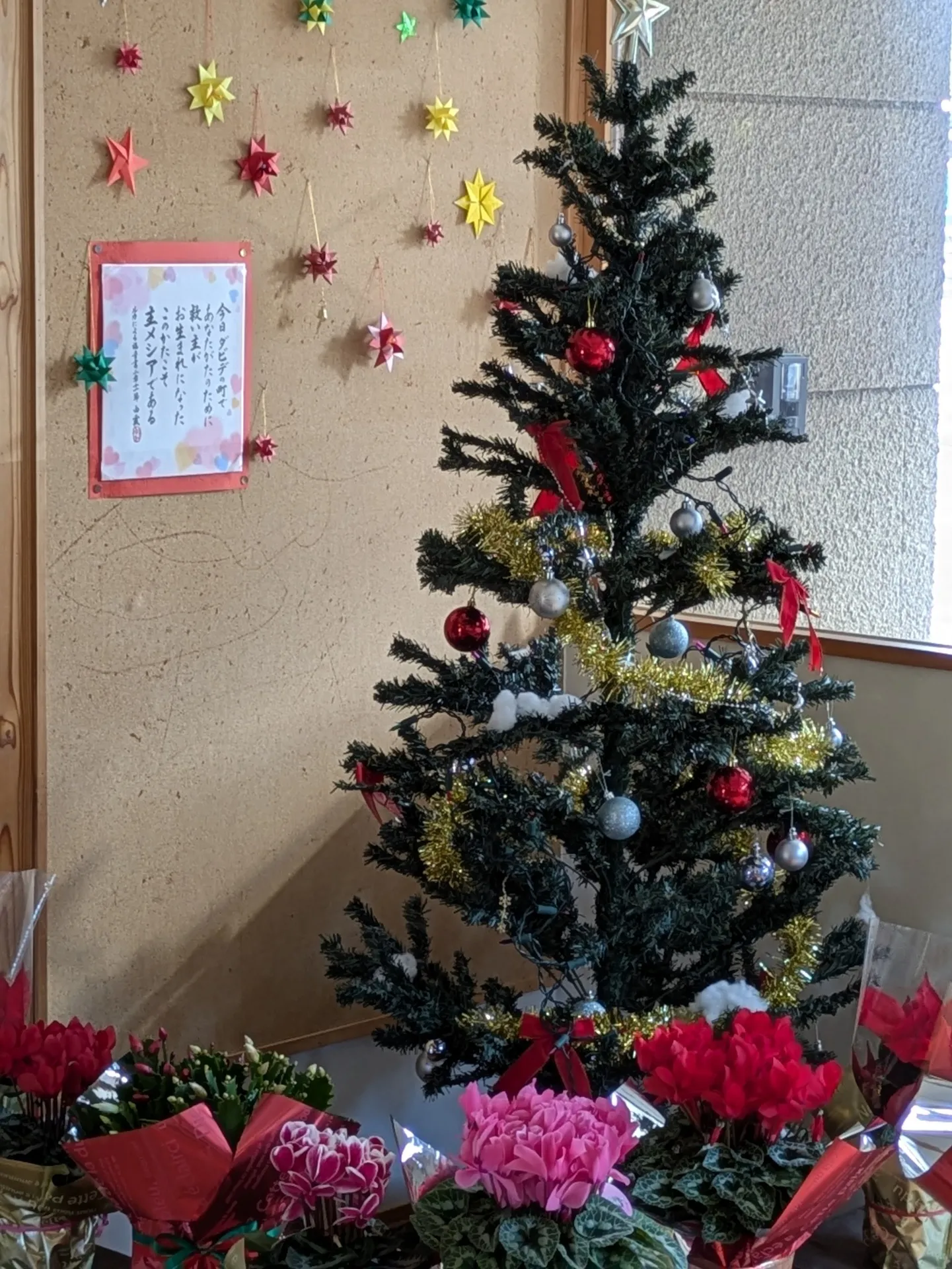 PXL_20251209_013011969.PORTRAIT.ORIGINAL