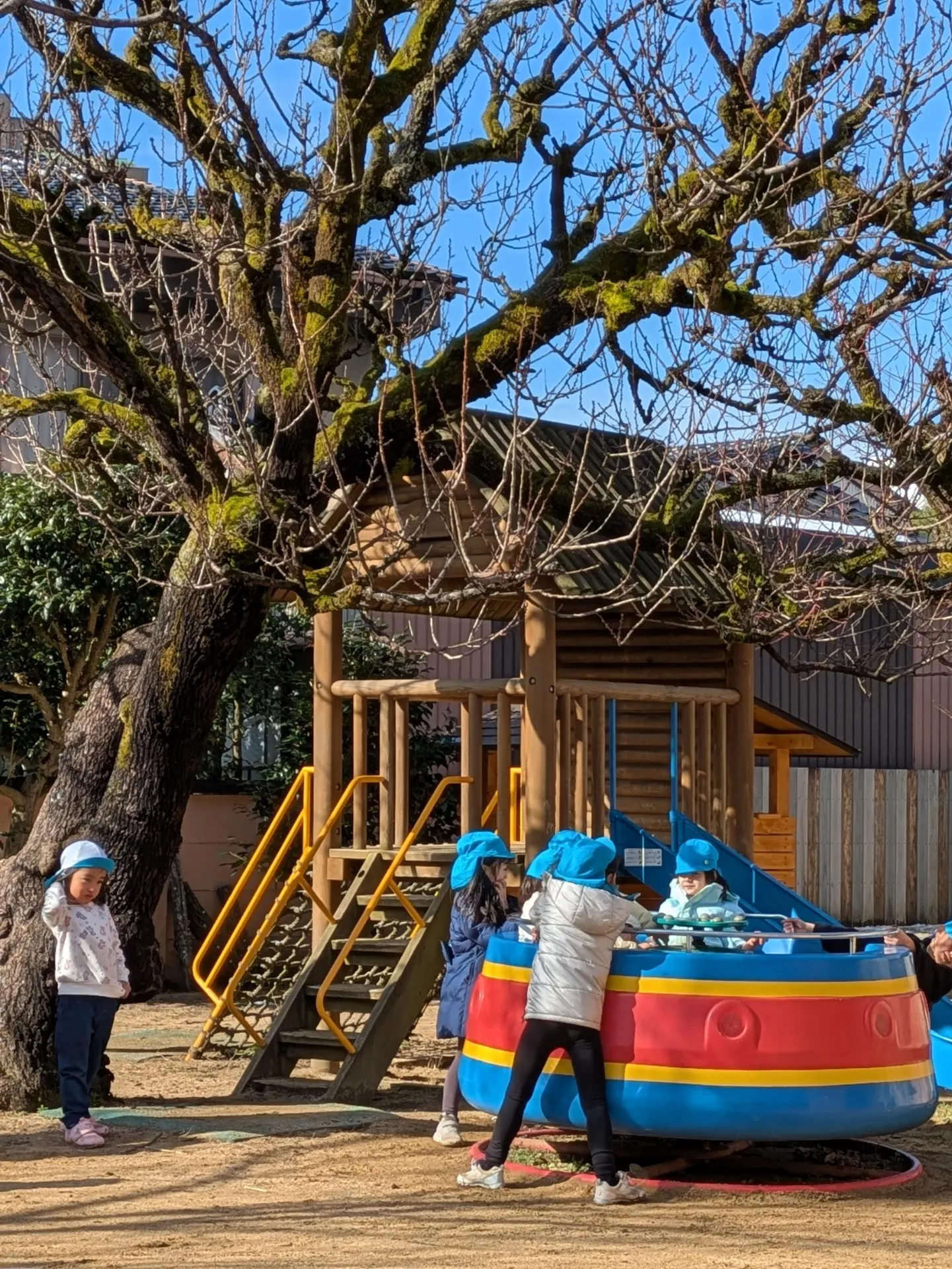 PXL_20260107_022513266.PORTRAIT.ORIGINAL