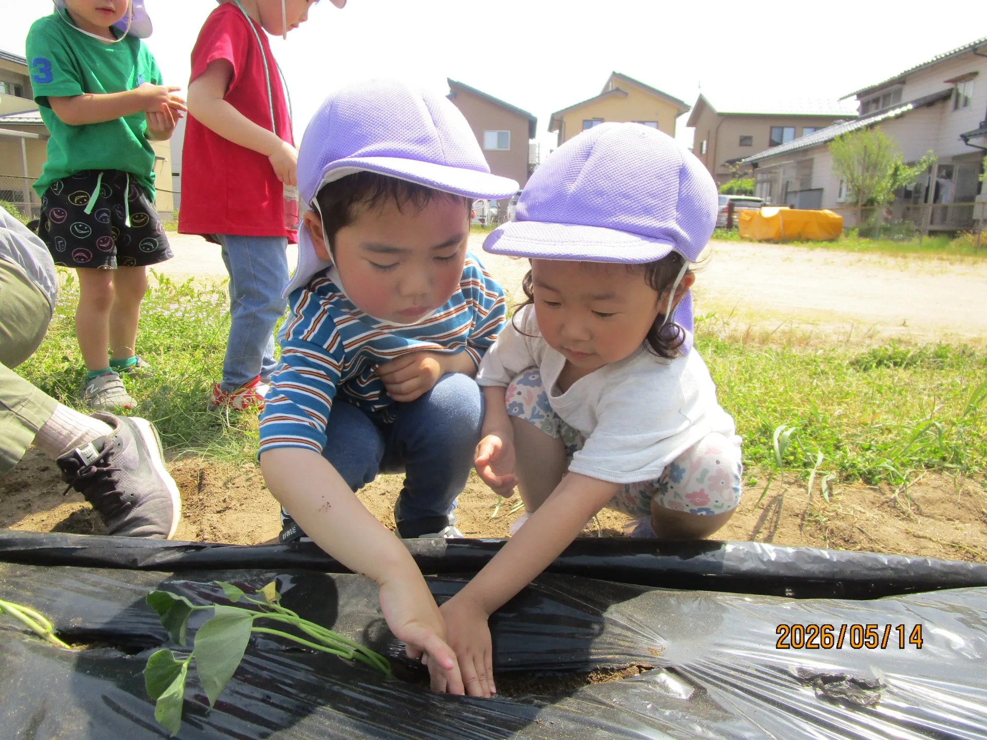 IMG_8902[1]