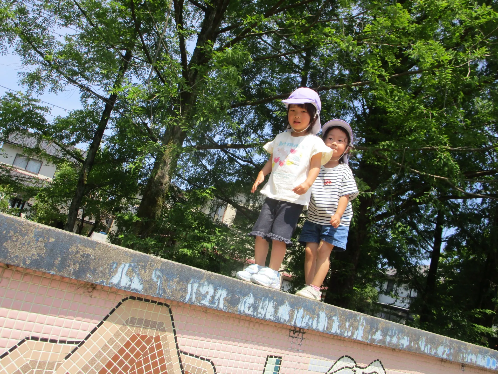 IMG_9094[1]