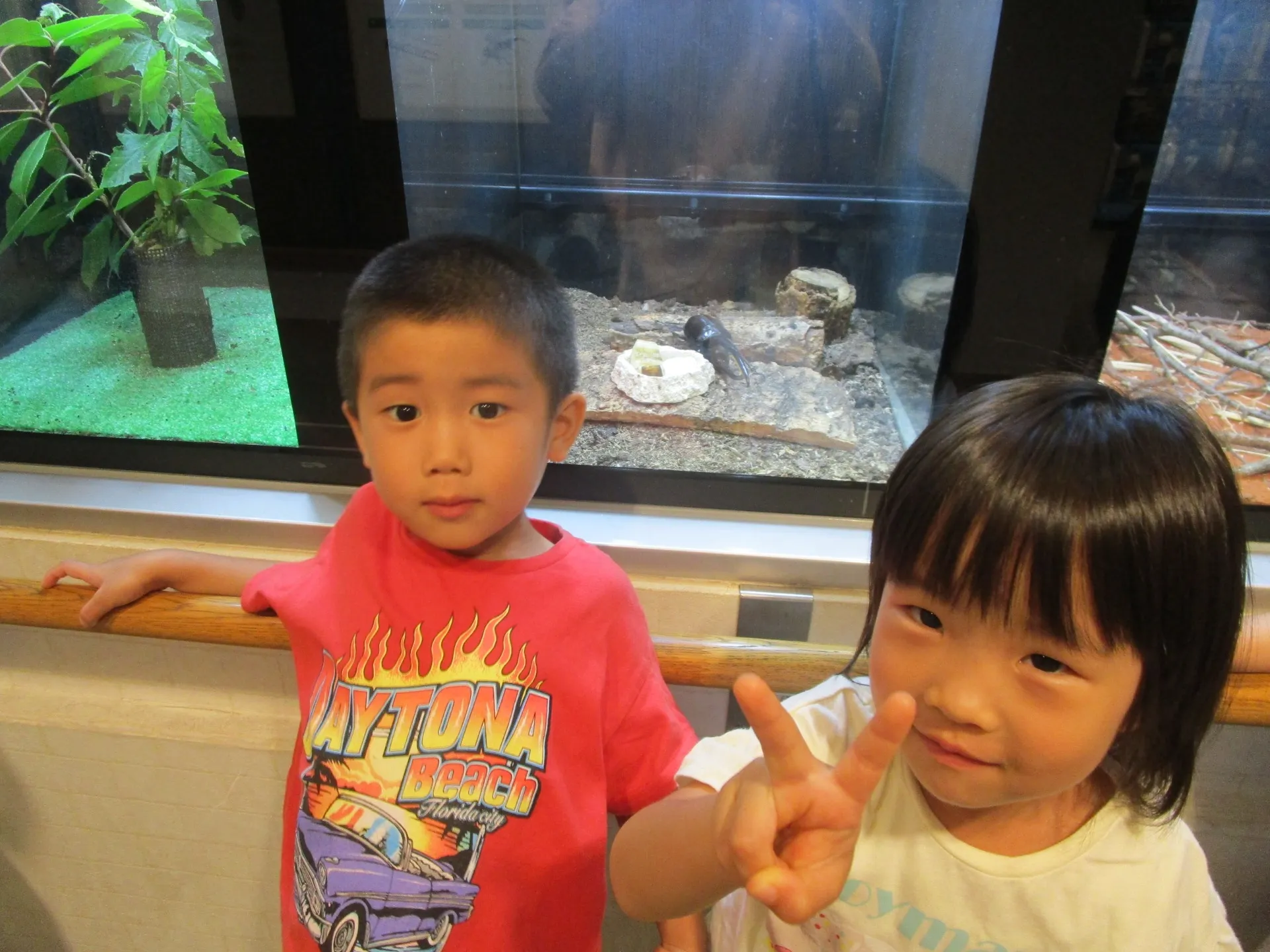 IMG_9526[1]