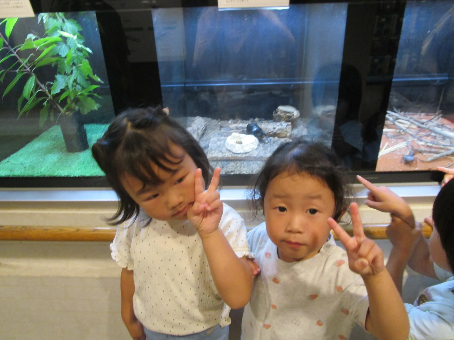 IMG_9523[1]